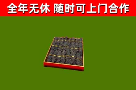 高邮市回收海参